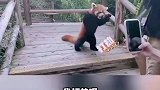 我在打劫，你尊重我一下