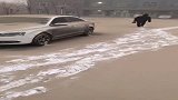 新疆下雪，这是雪还是巧克力，怎么成这个样子了？
