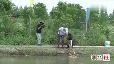 黑坑高手分享：用青提子在黑坑钓青鱼的那些你不知道的小技巧！