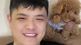 为什么这么多人烦泰迪