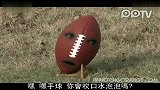 烦人的橙子6[中文字幕]可怜的橄榄球