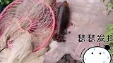男子河边捞鱼捞出一个黑色布袋，打开竟然是一枚炮弹！已上交警方