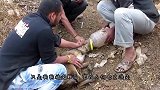 被主人遗弃的小狗狗，在街上等着有人带它回家，镜头记录感人画面