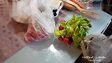 原来蓝猫最爱的是菜叶什么也阻止不了一只爱吃的肥猫