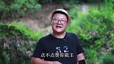 阿米和阿公吃豆腐鱼，鱼肉非常入味，入口即化的感觉