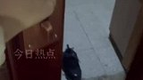 女生独自居住，邻居阿姨每天送来食物