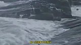 福建一游客不慎滑落坠海，村民扛长杆狂奔，合力救人拖回岸上！