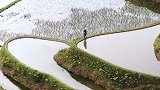 贵州加榜梯田中发现三栋木屋，不通车路，是怎么建上去的