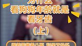 讲讲狗狗的牙齿，巴哥法斗的牙齿比其他犬种的要少你知道吗