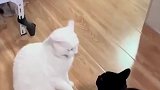一个师傅教的，破不了招啊
