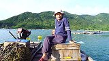 南澳生蚝收割季，广州朋友一订就是2千斤，阿兴要忙活起来了