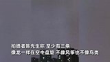 西安雷雨夜惊现条状不明飞行物，目击者：至少3条，像龙一样盘旋