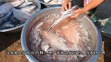 丹东农村婚宴，一道清蒸巴沙鱼引人注意，做法简单却很受人喜欢