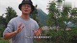 几个年轻人租下一个农场，下班后过着琴棋书画的生活