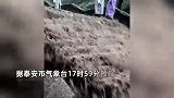 泰山景区因强降雨暂停开放：山路阶梯水流如瀑布，“爬一半不让爬了”