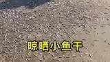阿曼渔民晾晒小鱼干