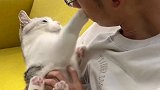 你们要的打耳光纯享版来啦萌宠出道计划