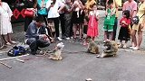 猴子演的不错。