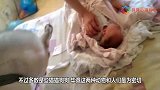 主人让哈士奇看护宝宝，发现宝宝在哭泣，二哈的反应真逗