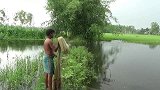 野外水塘无人管理，大哥一网下去，看看能捕获什么？