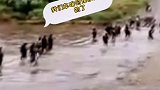 9月21日，印度一载士兵大巴过河时，被水冲走士兵仓皇逃出。网友：估计是外挂到期了！印度