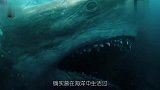 探秘档案：史前巨齿鲨生死谜，体长20米以鲸鱼为食！