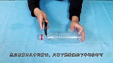 把大葱插进塑料瓶里，方法太棒了，现在学会还不晚
