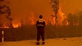 人类正走向灭亡？各国山火场景曝光，消防员已放弃抵抗！