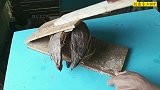 大叔捡来烂椰子进行创意加工，没想到成品一出就有土豪出高价购买