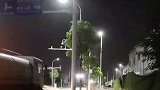 爱冲澡的修狗，追着洒水车跑