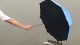 爆笑：就这样的柜台小姐姐，连行长都要怕3分