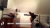 《爆笑60秒》丨蠢萌宠物日常锻炼身体：总感觉有刁民要害朕