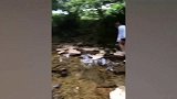 精彩搞笑段子剧，看歪果仁花样搞笑，好有趣！