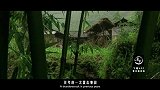 20170317-中国第一雷电村，200多人被雷劈-看鉴地理15