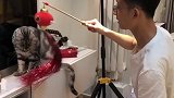 对付小绿茶就要以牙还牙 萌宠