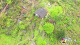 深山里发现一孤独小屋，旁边竟有个酒坛子，难道这有高人隐居？