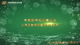 2021年度碳中和先锋企业山西美锦能源股份有限公司
