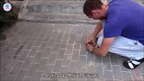 小狗被活埋地下，小伙子路过发现后，最终将它救了出来