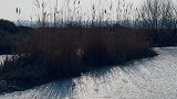 暖阳当空照，芦花随风摇。清风空寂寥，何时心安好。
