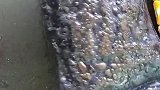 来找我吧，请你吃饼