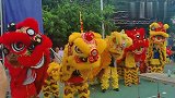 湛江摆宗文化：用昂贵的大肥猪、百鸡宴等，游神过街，热闹非凡