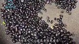 黑豆最营养的吃法，坚持每天吃10粒，身体越来越棒，做法简单