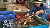 日本厨师处理顶级雪蟹，刀工非常的厉害，看完后口水停不下来