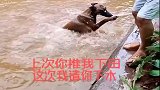 狗狗跟着主人去河边玩，结果却被主人恶搞，真是太惨了