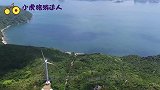 海南一海岛发现大量野牛，来历一直不明，专家在牛粪中找出答案