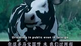 四川话爆笑配音：浑元太极拳掌门人大战奶牛，连五鞭绝技再现江湖