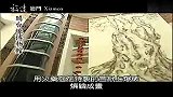旅游-闽台缘博物馆