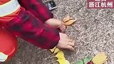 阿姨有才，内心有爱！环卫阿姨用落叶让童话照进现实！