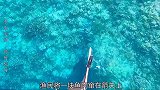 渔民海底潜捕，捕获到的全是值钱好货