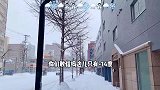 一天逛完北海道，带你看看“雪之国”